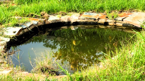 Aprovechando la Naturaleza: Captacion de Agua de Lluvia