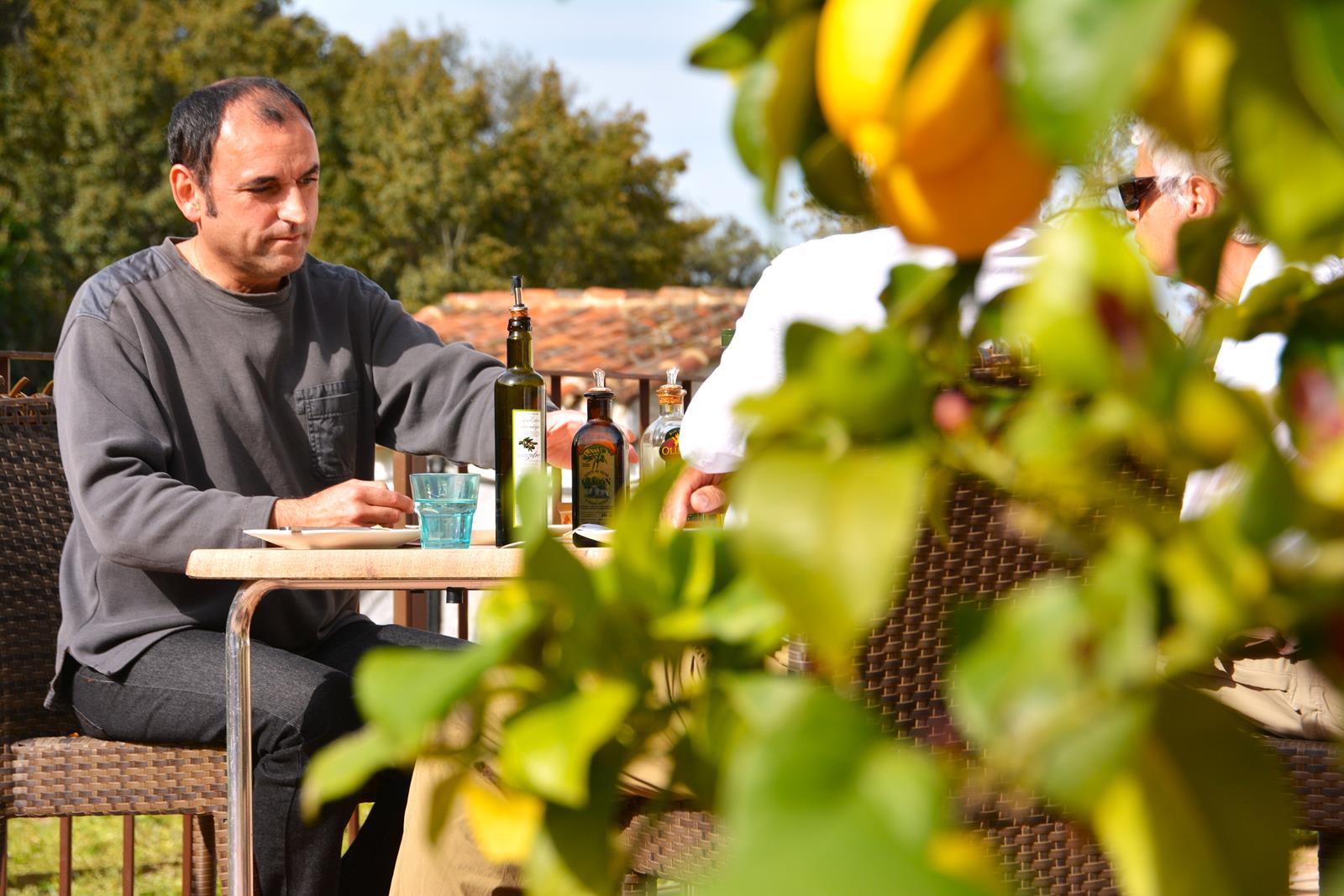 Descubre el Oro Liquido de Andalucia: reserva una cata de aceite de oliva.