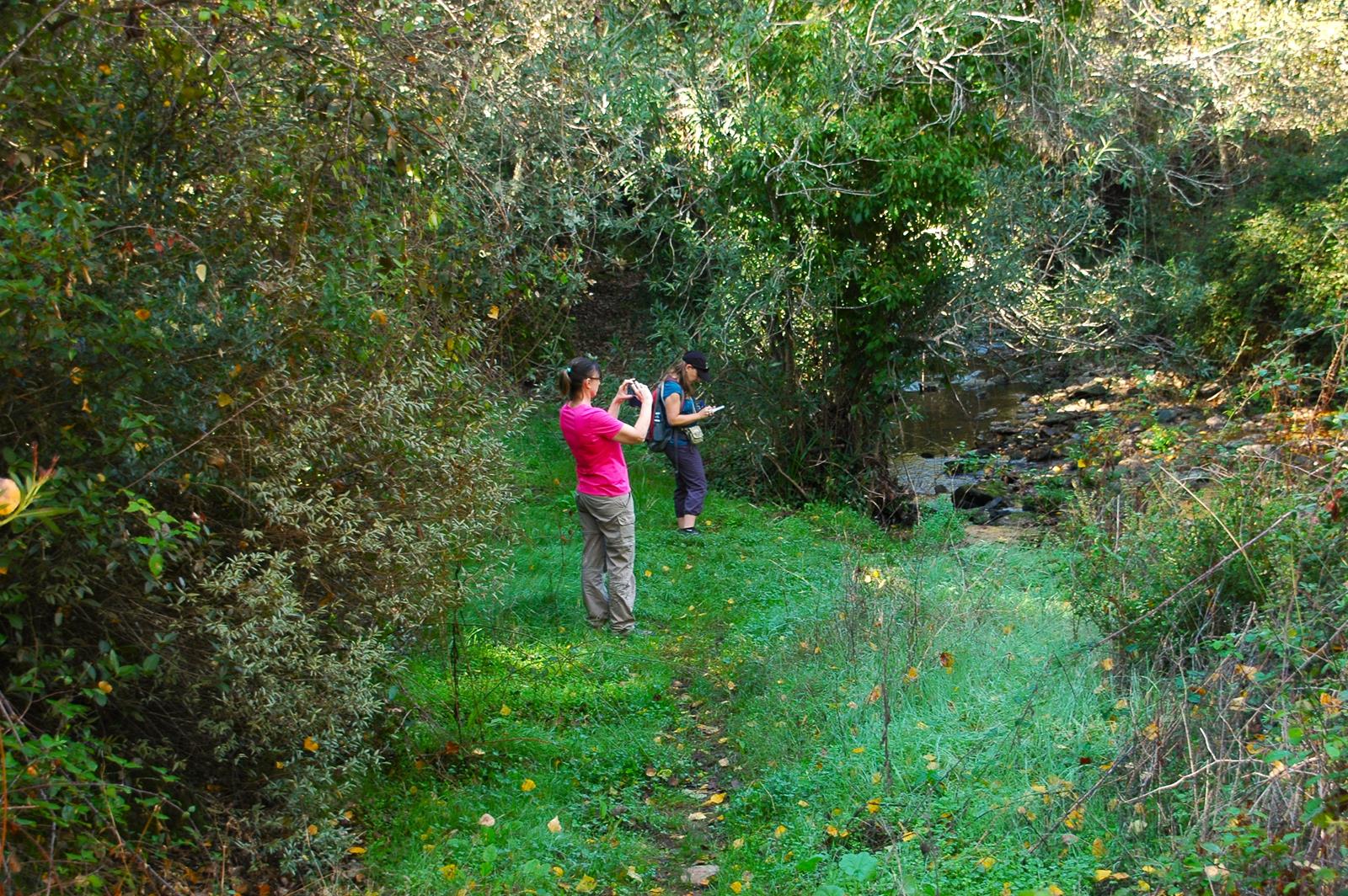 Vive la sierra mas verde de Andalucia a tu propio ritmo.