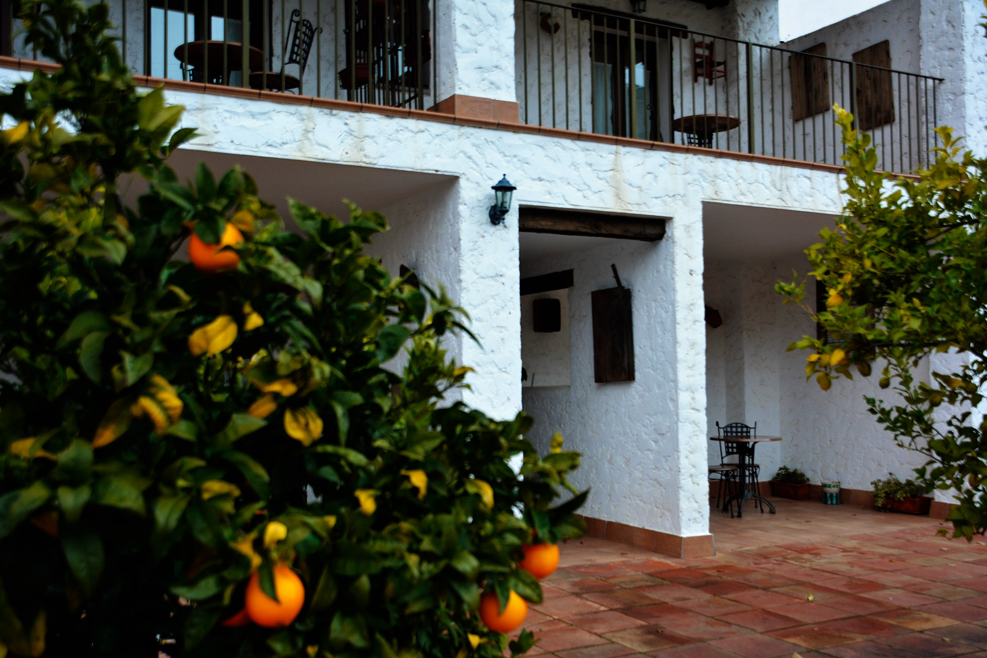 Comida tradicional de la sierra de huelva